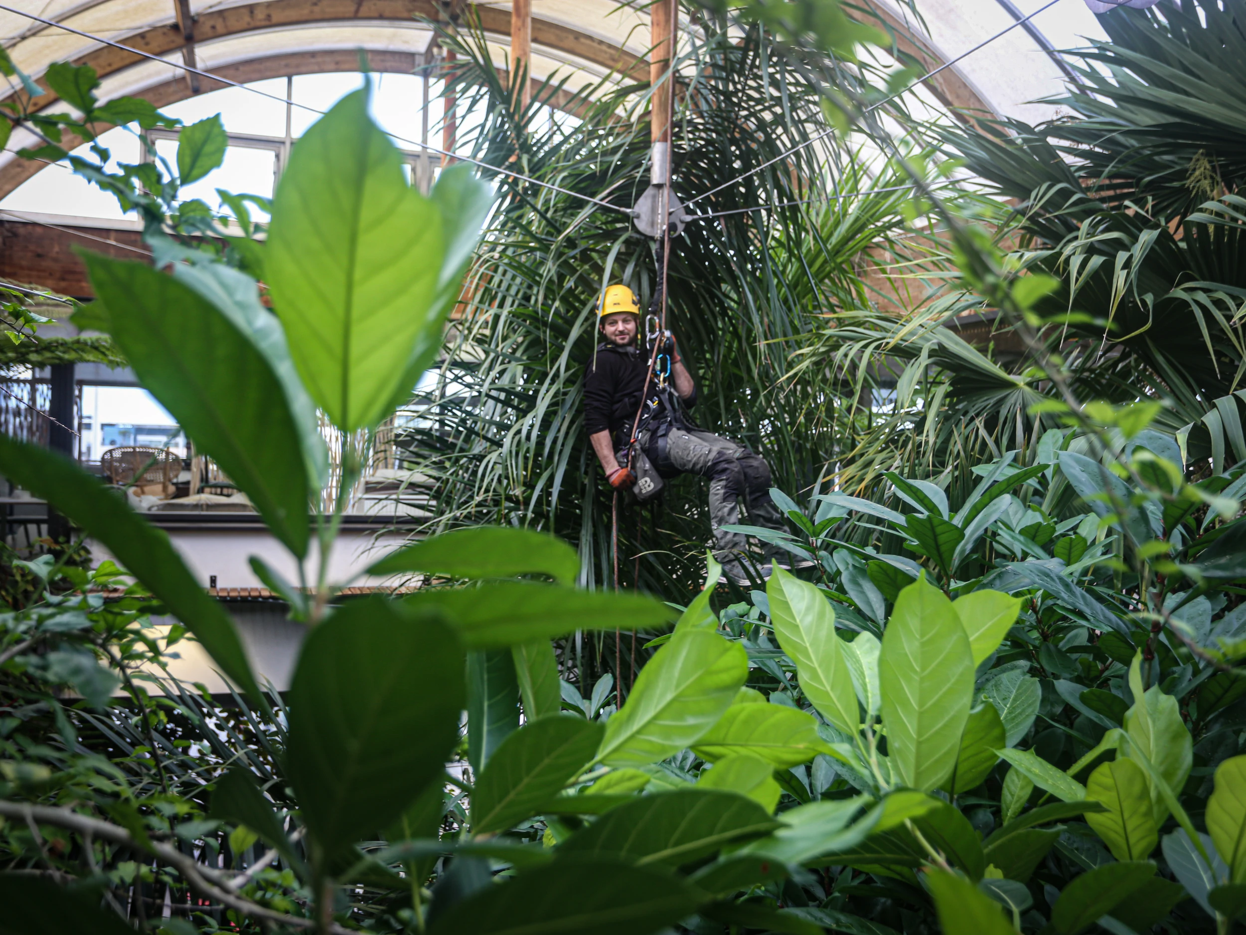 Intervention de cordistes MS Access pour même pas peur des pirahnas chez ERALU à La Rochelle (bâtiment) – 3